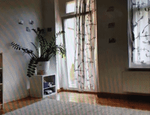 0 (3).gif