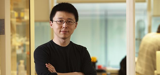 Feng_Zhang_0.png