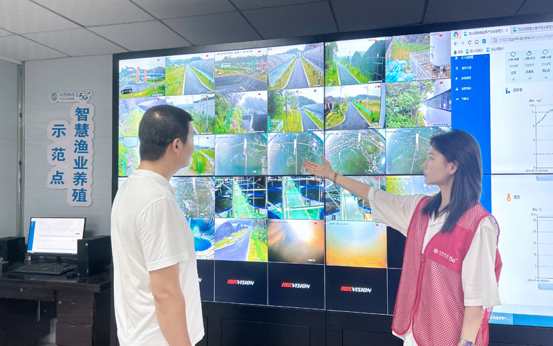 湖北移动助力十堰丹江口市龙山镇土台村搭建的5G+智慧渔业平台