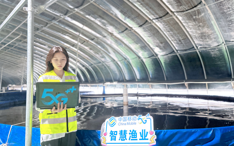 技术人员优化测试养殖棚内网络